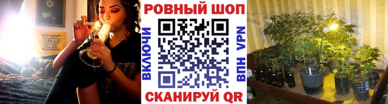 Где купить наркотики Петушки COCAIN  Меф  ГАШ  Каннабис 