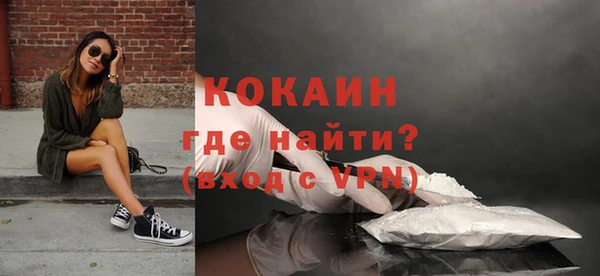 шишки Нея