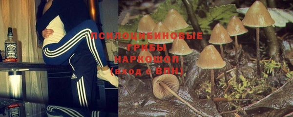 apvp Навашино
