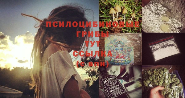 дурь Нефтекумск