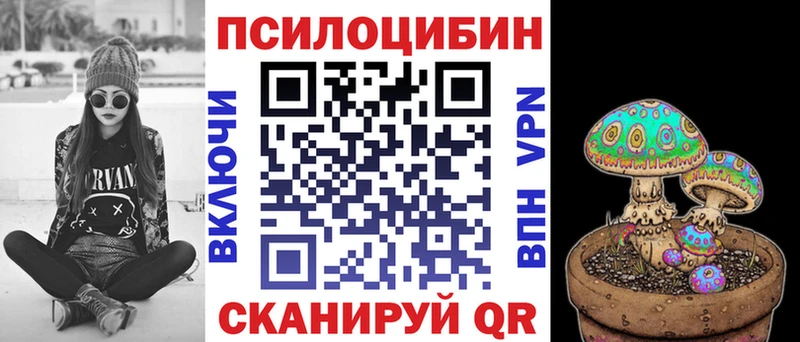Псилоцибиновые грибы прущие грибы где можно купить наркотик Петушки